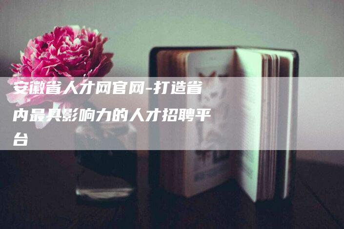 安徽省人才网官网-打造省内最具影响力的人才招聘平台