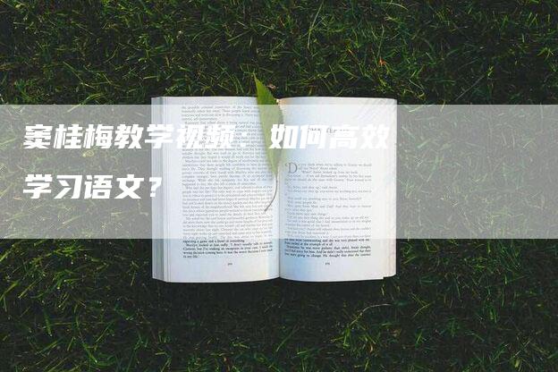 窦桂梅教学视频：如何高效学习语文？