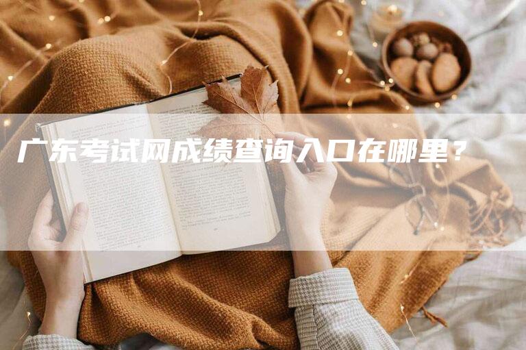 广东考试网成绩查询入口在哪里？