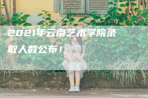 2021年云南艺术学院录取人数公布！