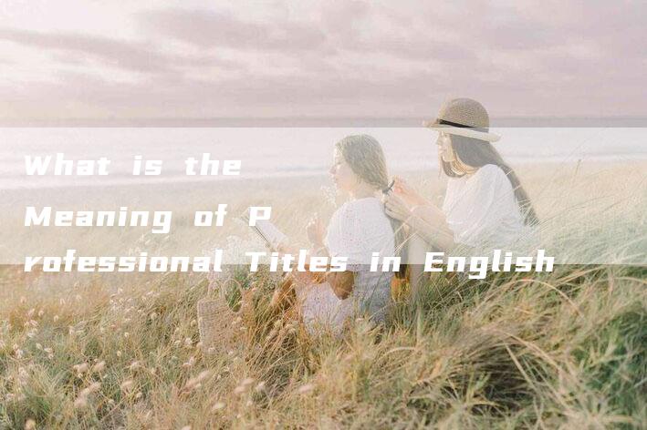 What is the Meaning of Professional Titles in English