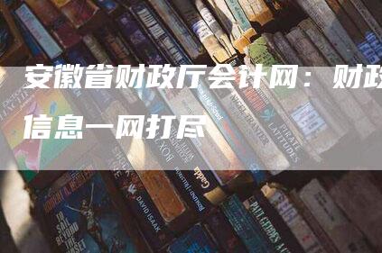 安徽省财政厅会计网：财政信息一网打尽