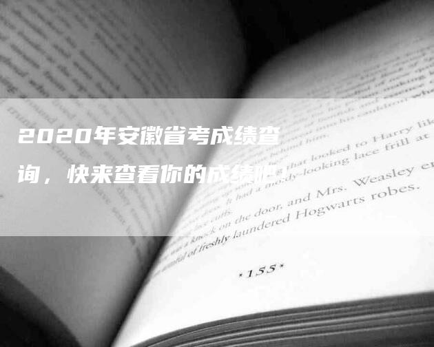 2020年安徽省考成绩查询，快来查看你的成绩吧！