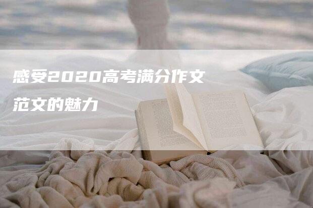 感受2020高考满分作文范文的魅力