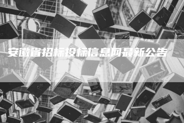 安徽省招标投标信息网最新公告