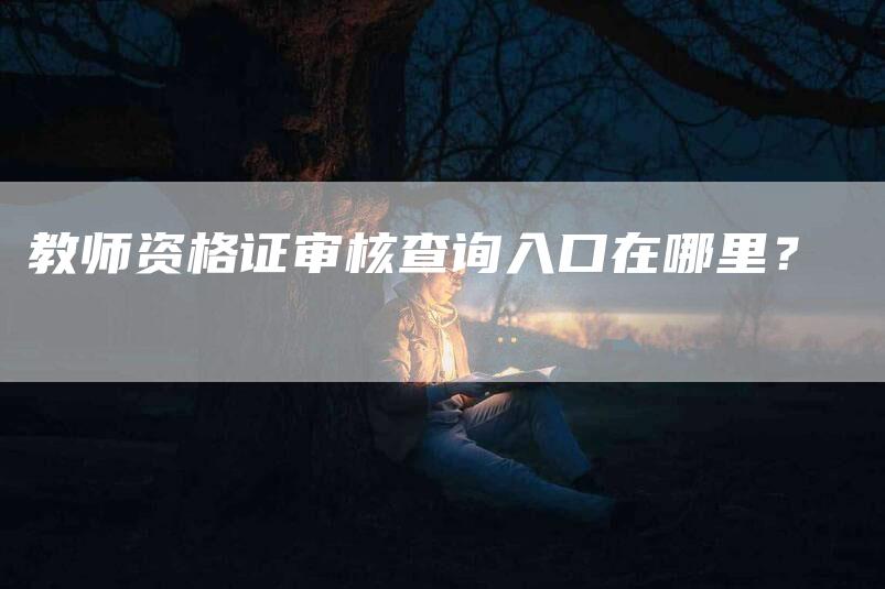 教师资格证审核查询入口在哪里？